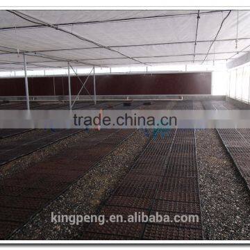 Venlo Polycarbonate Sheet Greenhouse for Sale photo-2