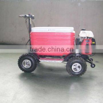 Hot Sale 48L 43cc EPA Gas Cooler Scooter/camping Scooter (TKS-S43) photo-4