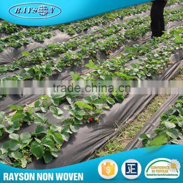 Online Shop Pp Spunbonded Uv Treat Non-Woven Fabrics photo-2