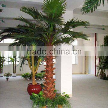 SJ12001114 high simulation palm arvore/indoor palm tree with low price