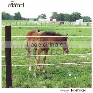 High Quality Fentech Electric Tape Horse Fence photo-2