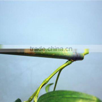 Curtain Home Garden Decorative Edging 3ft to 17ft Height Outdoor Simulation Green Bamboo Poles EZZZ06 1003 photo-3