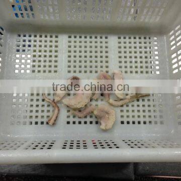 Mix of Seafood photo-3