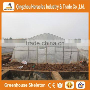 Heracles Trade Assurance Poly Tunnel Mini Greenhouse photo-6