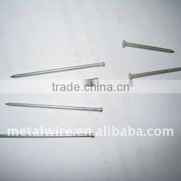 Common Headless Nail