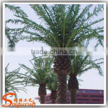 Hot Sale Fake Decoration Wood Palm Tree Names Miniature Plastic Palm Tree Decoration Palm Tree photo-5