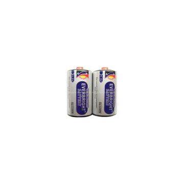 R20 D Size UM-1 Brand Battery