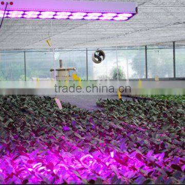 HL-G80A Led Grow Lights for Plants photo-6
