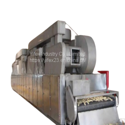 DWT Series Belt Dryer for Vegetable Dehydration