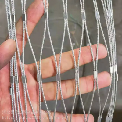 Galvanized Colored Stainless Steel Rope Mesh with 2000N Tensile Strength