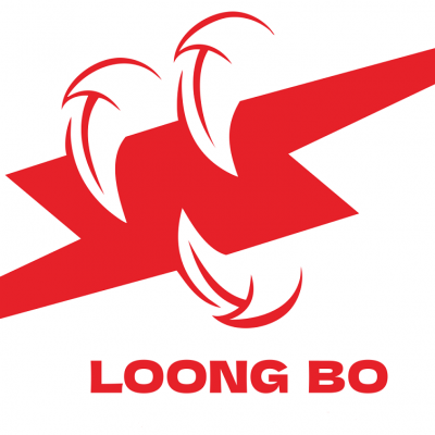 Haiyan Long Bo DC Motor Co.,Ltd