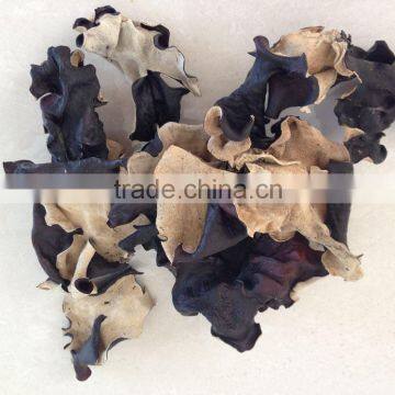 Dried Back White Fungus