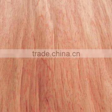 Grade ABCD 0.22-0.35mm Plywood Bintangor Veneer photo-5