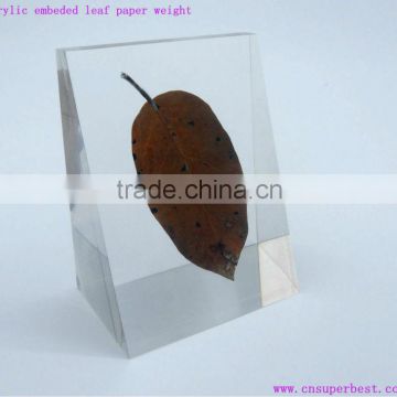 Acrylic embeded leaf paper weight