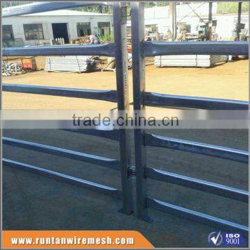 Australia Cheap galvanized portable galvanized horse corral in farm (Factory Trade Assurance)