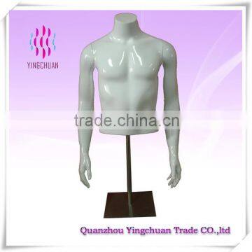 Male half body torso mannequin