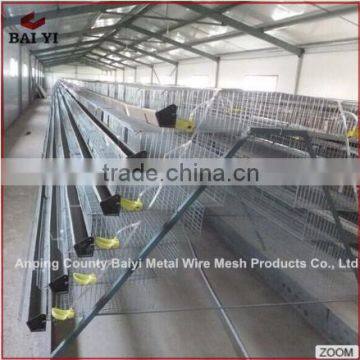 Quail Farm Equipment And Farm Quail Battery Cages Wholesale photo-3