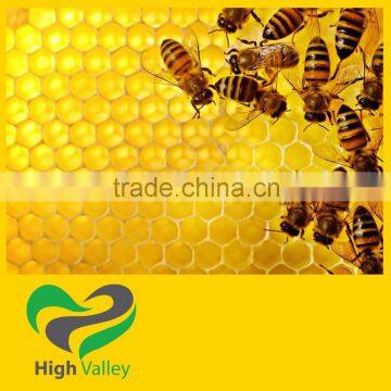 100% Natural Honey from Vietnam