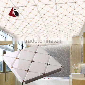 HTL56 2015 Newest design artistic home decoration aluminum ceiling