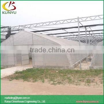Sawtooth Type Tunnel Greenhouse Rooftop Greenhouse Modern Greenhouse photo-6