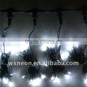 string light/LED curtain light/wedding light