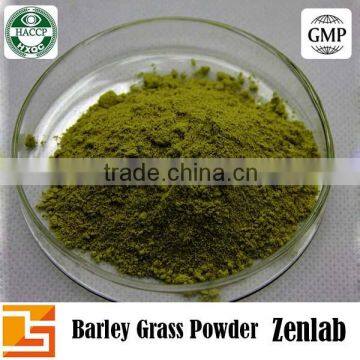 High Quality Barley Grass Juice P.E.