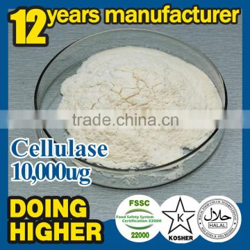 High quality cellulase Textile Auxiliary Agents industrial liquid cellulase enzyme powder