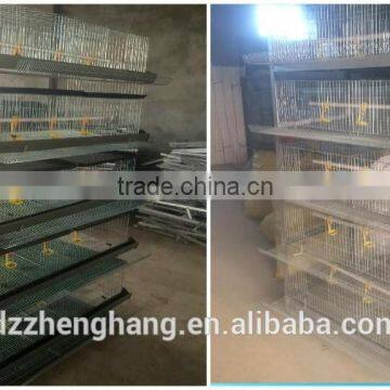 Alibaba Gold Supplier chicken cage/chicken farm/chicken cage for sale for all world