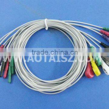 HOLTER 10-leadwires with snap Cable