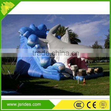 Popular Large Water Slide Giant Inflatable Water Slide For Kids And Adults photo-6