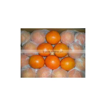 FRESH ORANGE FOR SALE