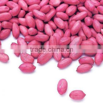 2012 fresh raw peanut kernel supplier