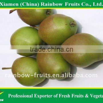 Hongxiangsu Pear