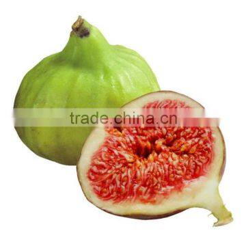 Quality IQF Small Frozen Fig Fruit