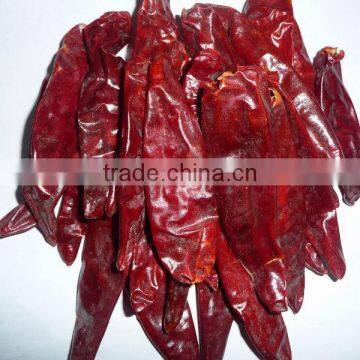 Chinese Dried Whole Jinta Chili in Low Hot Degree