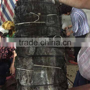 Dried Sea Vegetable Kelp( Laminaria Japonica)Seaweed Raw Materials for Sale