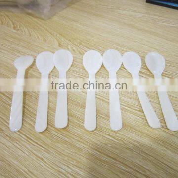 Mother of pearl spoon from Vietnam, competitive price and high quality