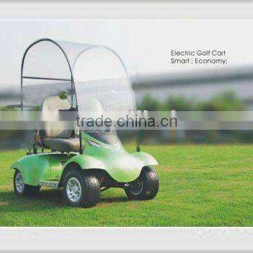 Chinese Cheap Electric Power Single Seat Golf Cart 1.2Kw DC Power For Sale