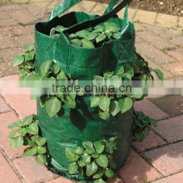 gaden grow bag,