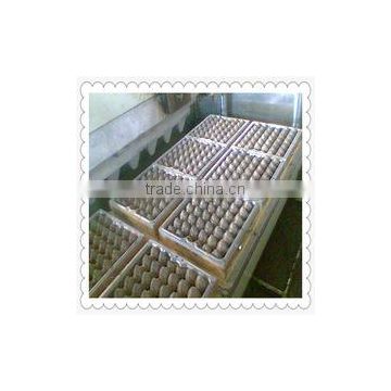 egg carton mould/egg box mould