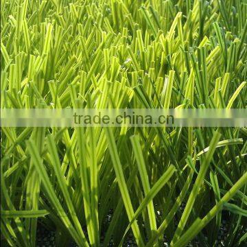 Artificial Synthetic Grass Turf, 18mm HOCKEY Grass Turf. photo-5