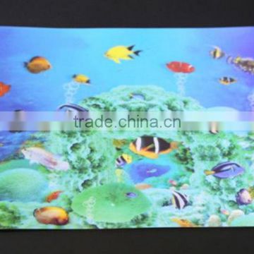 Store More Dining Room 3d Placemats for Table