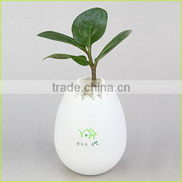 Office desk flower pots,plastic decorative flower pots,plastic flower pots from china