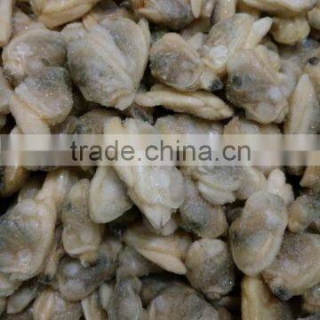 Short Necked Clam Meat For Frozen and Boiled IQF photo-2