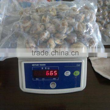 New Season Frozen Vacuum Packed Cooked Short Necked Clam photo-2