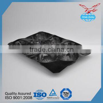 Display Tray Fruit Packing Tray Customed PP Fruit Tray Packaging photo-3