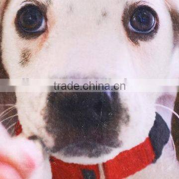 Custom Full Screen Printing Fleece Thermal Throw Carpet For Dogs photo-3