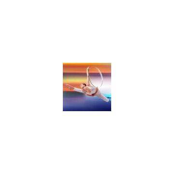 Sell Optical Flat Top Bifocal Lens (China (Mainland))
