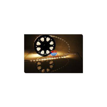12v LED Rope Light