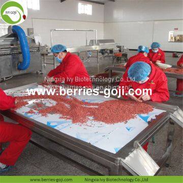 New Arrival Factory Supply Dried Goji Berry photo-4